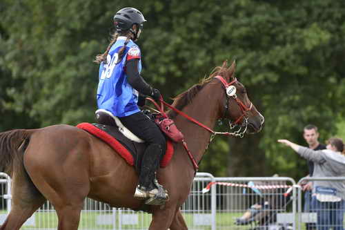 WEG-EnduranceRace-8-28-14-0005006-DDeRosaPhoto