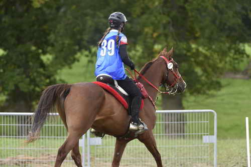 WEG-EnduranceRace-8-28-14-0005008-DDeRosaPhoto