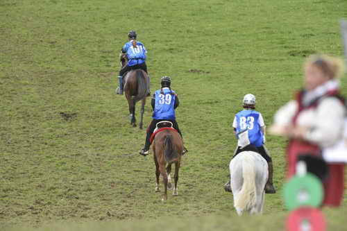 WEG-EnduranceRace-8-28-14-0005022-DDeRosaPhoto