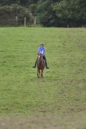 WEG-EnduranceRace-8-28-14-0005046-DDeRosaPhoto