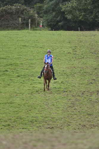 WEG-EnduranceRace-8-28-14-0005047-DDeRosaPhoto