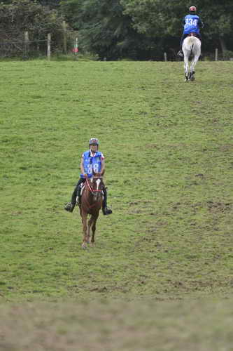 WEG-EnduranceRace-8-28-14-0005049-DDeRosaPhoto