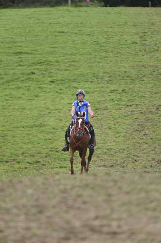 WEG-EnduranceRace-8-28-14-0005061-DDeRosaPhoto