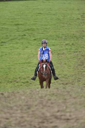WEG-EnduranceRace-8-28-14-0005066-DDeRosaPhoto
