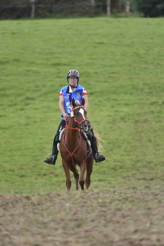 WEG-EnduranceRace-8-28-14-0005067-DDeRosaPhoto