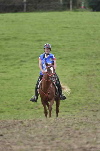 WEG-EnduranceRace-8-28-14-0005068-DDeRosaPhoto