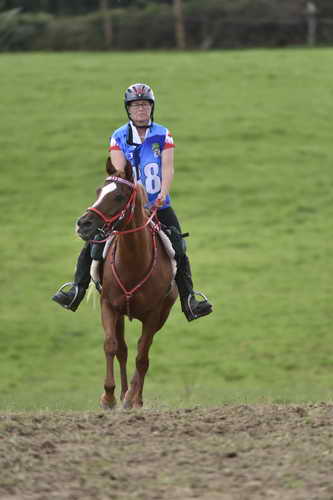 WEG-EnduranceRace-8-28-14-0005072-DDeRosaPhoto