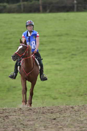 WEG-EnduranceRace-8-28-14-0005073-DDeRosaPhoto
