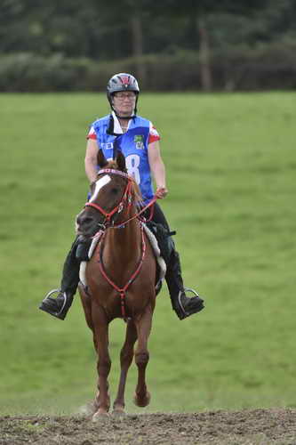 WEG-EnduranceRace-8-28-14-0005076-DDeRosaPhoto