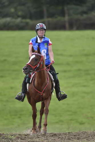 WEG-EnduranceRace-8-28-14-0005077-DDeRosaPhoto