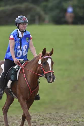WEG-EnduranceRace-8-28-14-0005087-DDeRosaPhoto