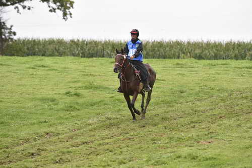 WEG-EnduranceRace-8-28-14-0001258-DDeRosaPhoto