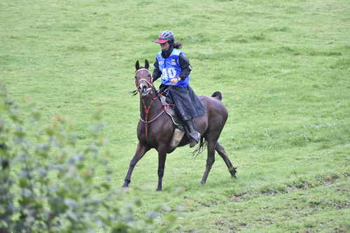 WEG-EnduranceRace-8-28-14-0001263-DDeRosaPhoto