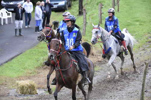 WEG-EnduranceRace-8-28-14-0001276-DDeRosaPhoto