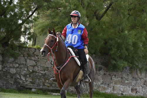 WEG-EnduranceRace-8-28-14-0002888-DDeRosaPhoto