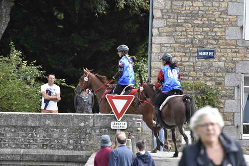 WEG-EnduranceRace-8-28-14-0002899-DDeRosaPhoto
