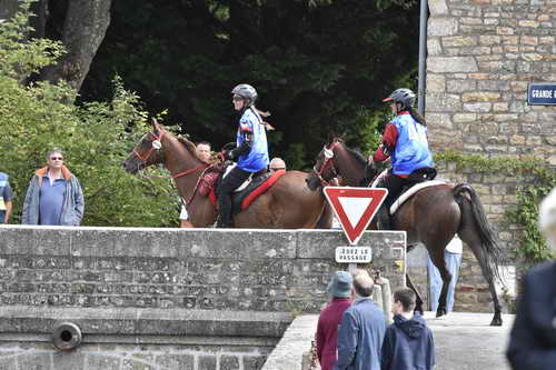 WEG-EnduranceRace-8-28-14-0002901-DDeRosaPhoto