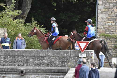 WEG-EnduranceRace-8-28-14-0002902-DDeRosaPhoto