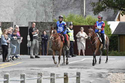 WEG-EnduranceRace-8-28-14-0002919-DDeRosaPhoto