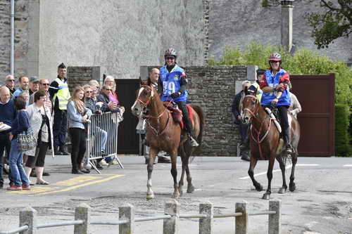 WEG-EnduranceRace-8-28-14-0002923-DDeRosaPhoto