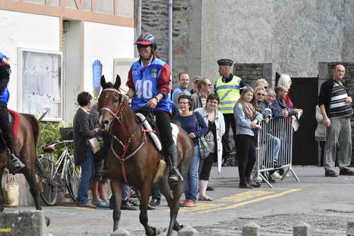 WEG-EnduranceRace-8-28-14-0002933-DDeRosaPhoto