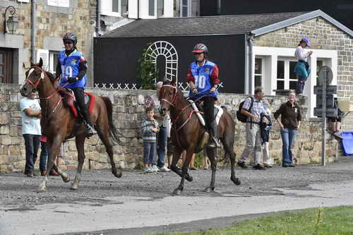 WEG-EnduranceRace-8-28-14-0002942-DDeRosaPhoto