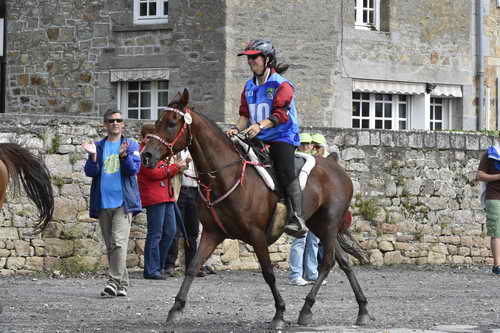 WEG-EnduranceRace-8-28-14-0002950-DDeRosaPhoto