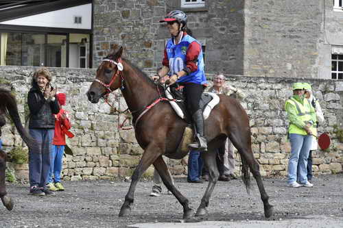 WEG-EnduranceRace-8-28-14-0002951-DDeRosaPhoto
