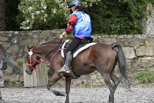 WEG-EnduranceRace-8-28-14-0002966-DDeRosaPhoto
