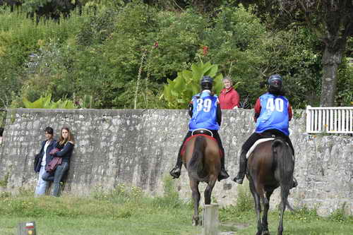 WEG-EnduranceRace-8-28-14-0002970-DDeRosaPhoto