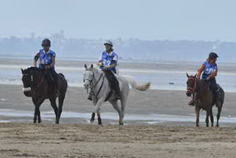 WEG-EnduranceRace-8-28-14-0004515-DDeRosaPhoto - Copy