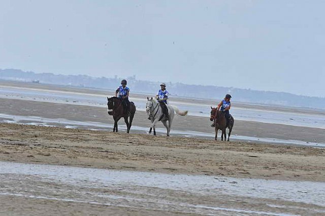 WEG-EnduranceRace-8-28-14-0004515-DDeRosaPhoto