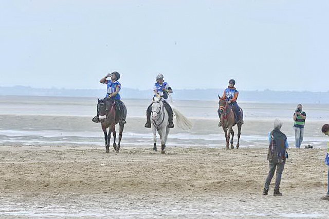WEG-EnduranceRace-8-28-14-0004532-DDeRosaPhoto