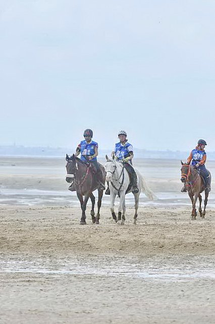WEG-EnduranceRace-8-28-14-0004544-DDeRosaPhoto
