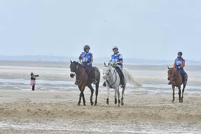 WEG-EnduranceRace-8-28-14-0004548-DDeRosaPhoto