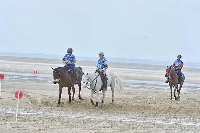WEG-EnduranceRace-8-28-14-0004552-DDeRosaPhoto
