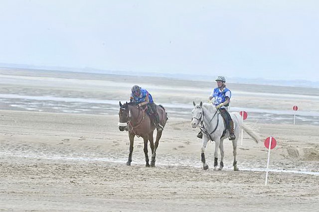 WEG-EnduranceRace-8-28-14-0004563-DDeRosaPhoto
