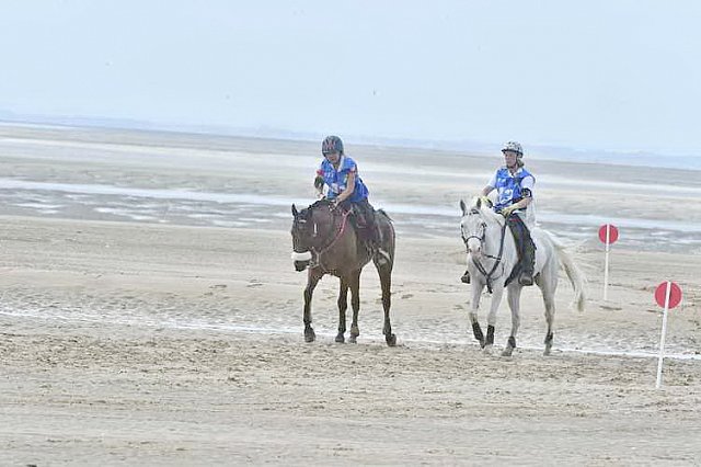 WEG-EnduranceRace-8-28-14-0004566-DDeRosaPhoto