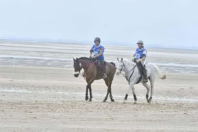 WEG-EnduranceRace-8-28-14-0004569-DDeRosaPhoto