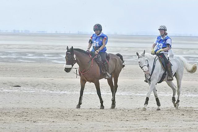 WEG-EnduranceRace-8-28-14-0004573-DDeRosaPhoto