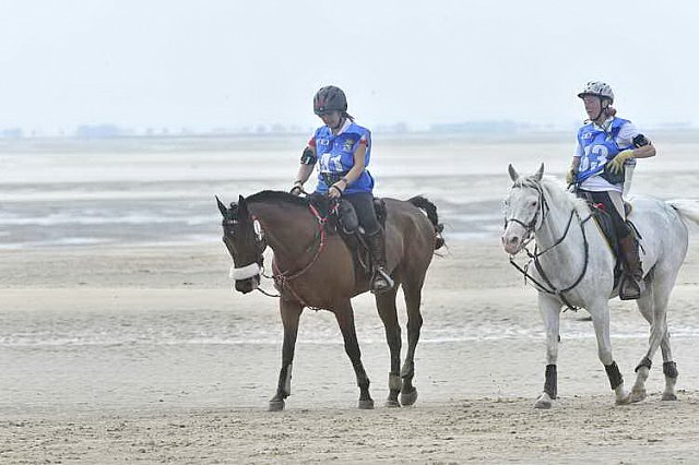 WEG-EnduranceRace-8-28-14-0004579-DDeRosaPhoto