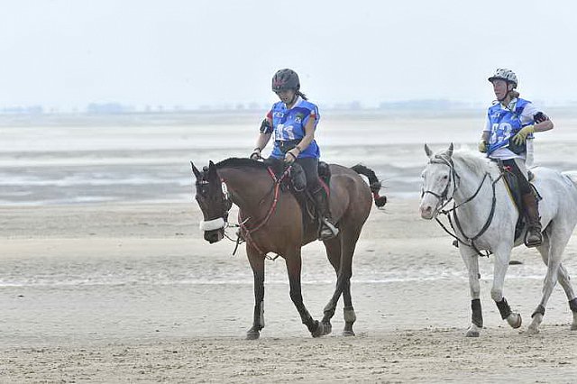 WEG-EnduranceRace-8-28-14-0004580-DDeRosaPhoto