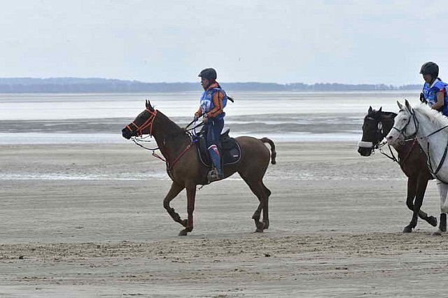 WEG-EnduranceRace-8-28-14-0004593-DDeRosaPhoto