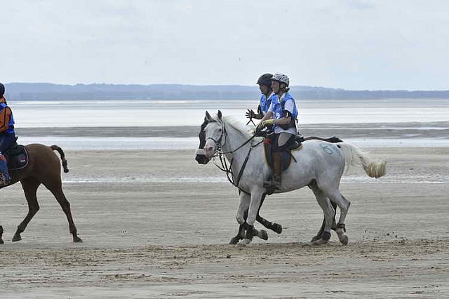 WEG-EnduranceRace-8-28-14-0004597-DDeRosaPhoto
