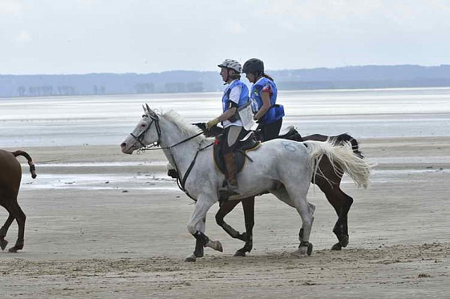 WEG-EnduranceRace-8-28-14-0004602-DDeRosaPhoto