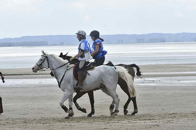 WEG-EnduranceRace-8-28-14-0004604-DDeRosaPhoto