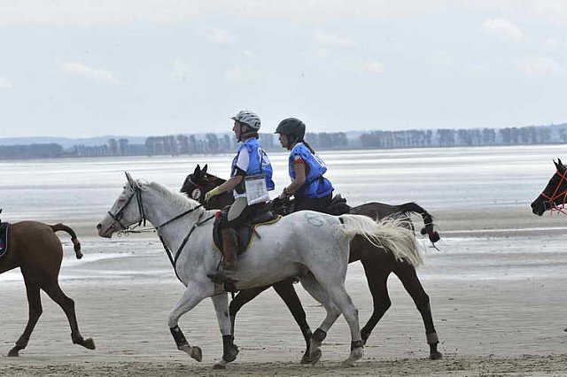 WEG-EnduranceRace-8-28-14-0004610-DDeRosaPhoto