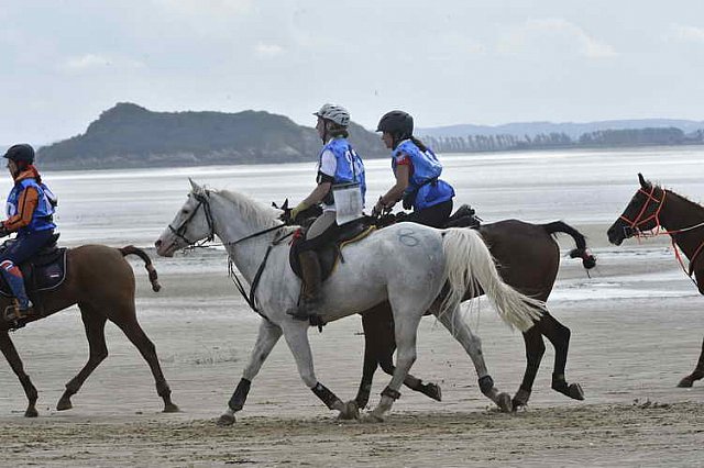 WEG-EnduranceRace-8-28-14-0004613-DDeRosaPhoto