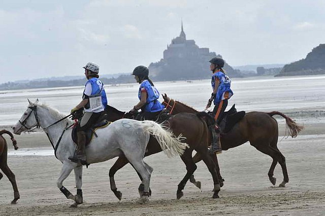 WEG-EnduranceRace-8-28-14-0004619-DDeRosaPhoto