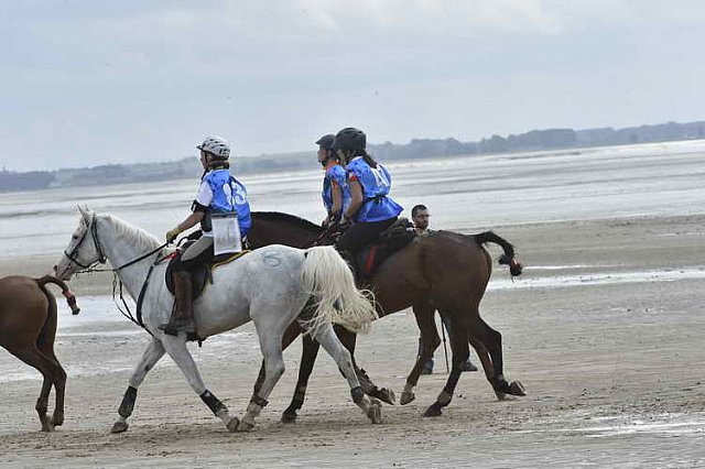WEG-EnduranceRace-8-28-14-0004626-DDeRosaPhoto